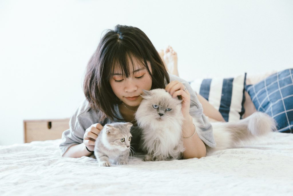 Alles wat je moet weten over slimme kattenbakken